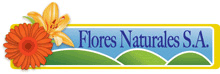 Flores Naturales