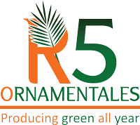 Ornamentales R5